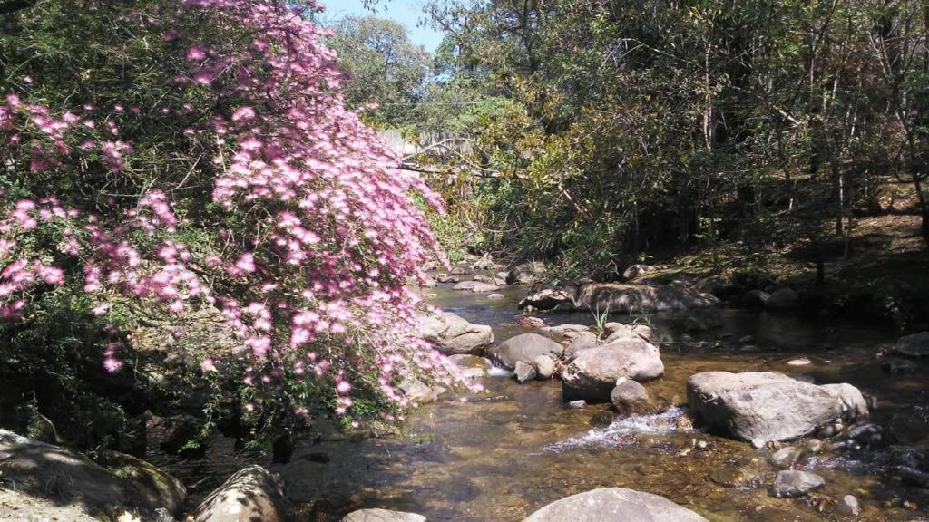 Pousada Toque de Minas Visconde de Mauá Exterior foto